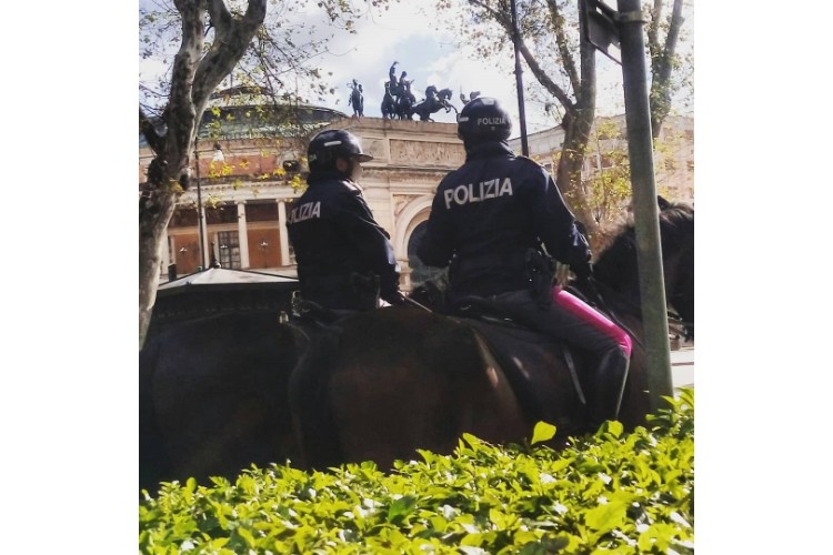 Selezione di Personale per la frequenza del 25°corso di qualifica per “Cavalieri”.