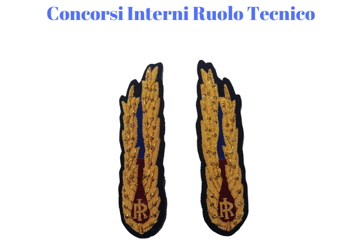 Concorsi interni transito al Ruolo Tecnico - Bozza per osservazioni